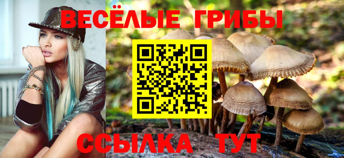 Галлюциногенные грибы мицелий  Вход с VPN  Псилоцибиновые грибы Psilocybine cubensis  Кизилюрт 